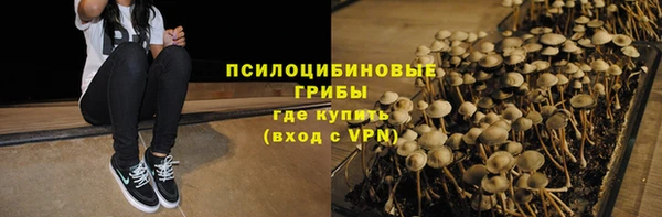 молекула духа Киреевск