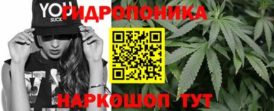 трава Будённовск