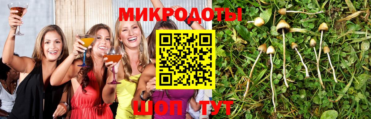Галлюциногенные грибы ЛСД Ноябрьск