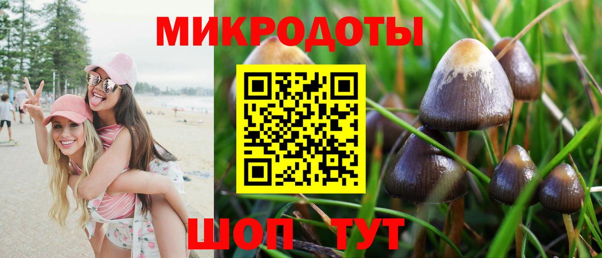 Псилоцибиновые грибы Magic Shrooms  Вход с VPN  Ноябрьск 